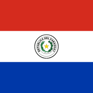 Paraguay Bayrağı 100x150 cm